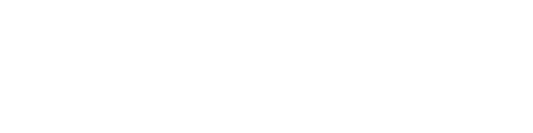 Professional Ice Shaver Name